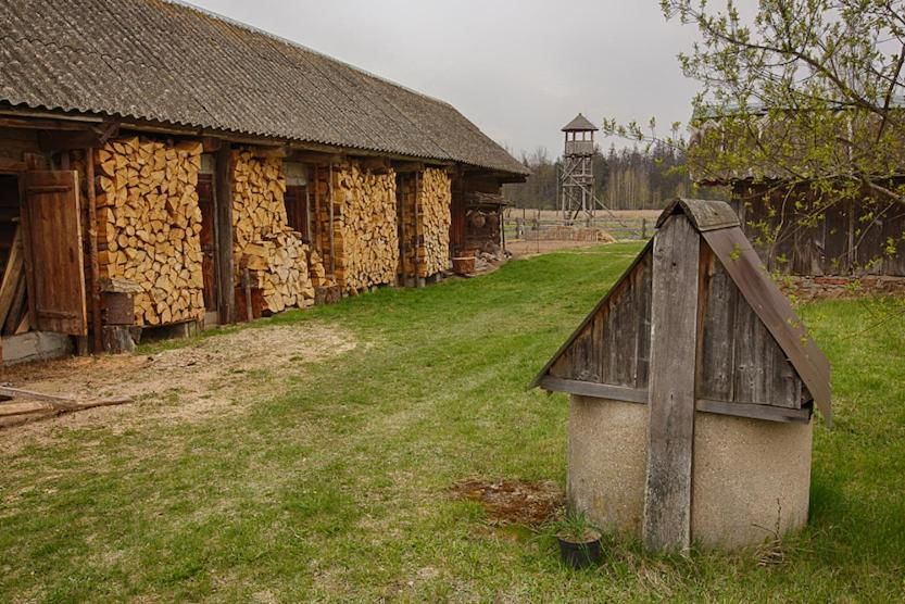 Дома для отпуска Domek Teremiski Białowieża-13