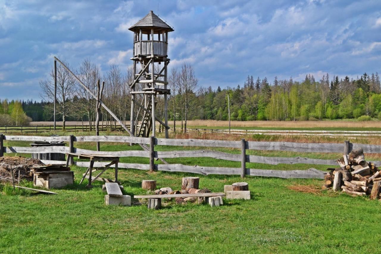 Дома для отпуска Domek Teremiski Białowieża-14