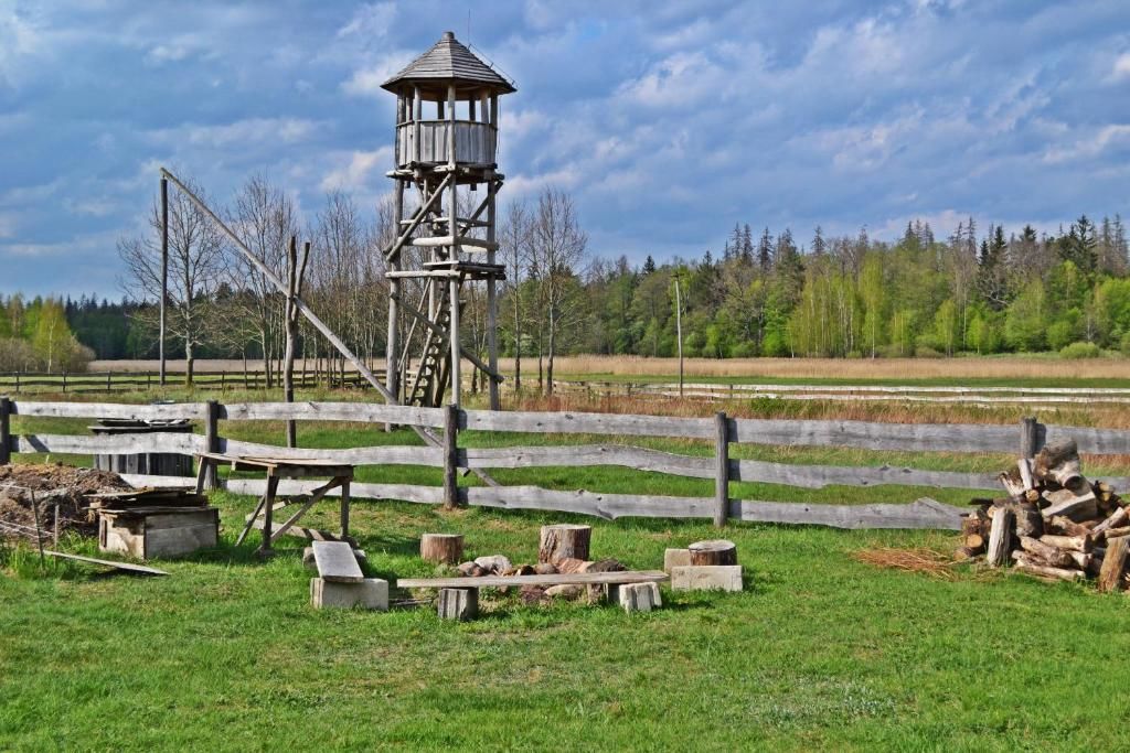 Дома для отпуска Domek Teremiski Białowieża-17